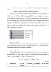 Verslo planas: gėlių parduotuvė IĮ "Gėlių simfonija" 10 puslapis