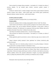 Verslo planas: gėlių salonas IĮ "Gėlių rojus" 11 puslapis