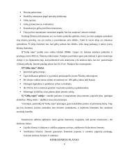 Verslo planas: gėlių salonas IĮ "Gėlių rojus" 6 puslapis