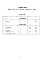 Verslo planas: grožio salonas UAB "Laima" 12 puslapis