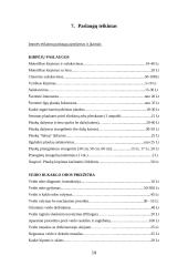 Verslo planas: grožio salonas UAB "Laima" 17 puslapis