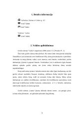 Verslo planas: grožio salonas UAB "Laima" 3 puslapis