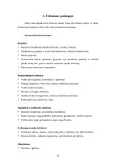 Verslo planas: grožio salonas UAB "Laima" 5 puslapis