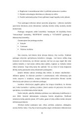 Verslo planas: grožio salonas UAB "Laima" 7 puslapis