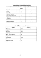 Verslo planas: grožio salonas UAB "Laima" 10 puslapis