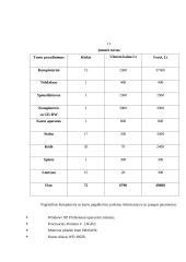 Verslo planas: interneto klubas D. Baladinsko IĮ "Info" 11 puslapis