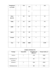 Verslo planas: interneto klubas D. Baladinsko IĮ "Info" 13 puslapis