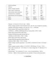 Verslo planas: interneto klubas D. Baladinsko IĮ "Info" 15 puslapis