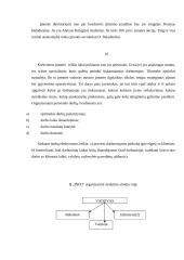 Verslo planas: interneto klubas D. Baladinsko IĮ "Info" 16 puslapis
