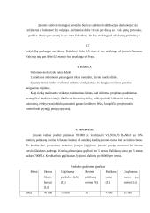 Verslo planas: interneto klubas D. Baladinsko IĮ "Info" 17 puslapis