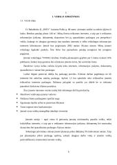 Verslo planas: interneto klubas D. Baladinsko IĮ "Info" 5 puslapis