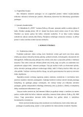 Verslo planas: interneto klubas D. Baladinsko IĮ "Info" 6 puslapis