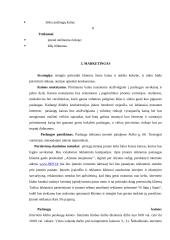Verslo planas: interneto klubas D. Baladinsko IĮ "Info" 8 puslapis