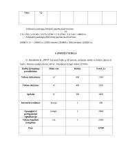 Verslo planas: interneto klubas D. Baladinsko IĮ "Info" 10 puslapis