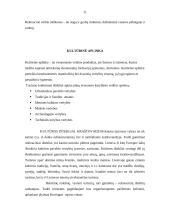 Verslo planas: kaimo sodyba "Aušra" 11 puslapis