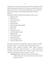 Verslo planas: kaimo sodyba "Aušra" 13 puslapis