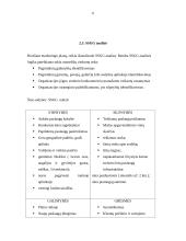 Verslo planas: kaimo sodyba "Aušra" 6 puslapis