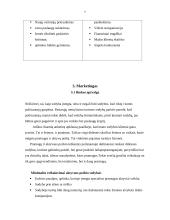 Verslo planas: kaimo sodyba "Aušra" 7 puslapis