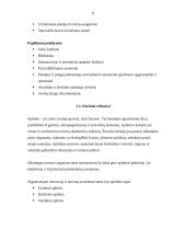 Verslo planas: kaimo sodyba "Aušra" 8 puslapis