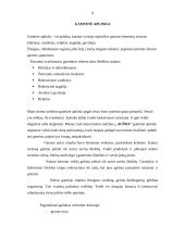 Verslo planas: kaimo sodyba "Aušra" 9 puslapis