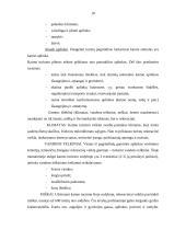 Verslo planas: kaimo sodyba "Aušra" 10 puslapis