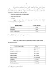 Verslo planas: kaimo turizmo sodyba "Versmė" 13 puslapis