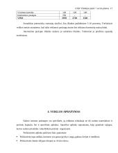 Verslo planas: kaimo turizmo sodyba UAB "Dzūkijos pušis" 17 puslapis