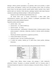 Verslo planas: kelionių agentūra UAB "Kelionės tau" 11 puslapis