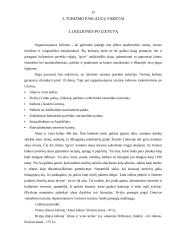 Verslo planas: kelionių agentūra UAB "Kelionės tau" 15 puslapis