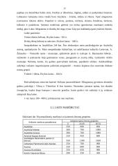 Verslo planas: kelionių agentūra UAB "Kelionės tau" 17 puslapis