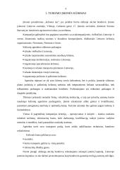 Verslo planas: kelionių agentūra UAB "Kelionės tau" 4 puslapis
