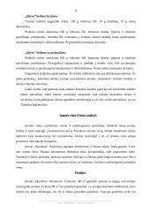 Verslo planas: Kijevo kotletų gamyba UAB "Skanėstas" 11 puslapis