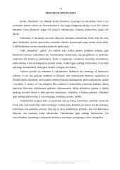 Verslo planas: Kijevo kotletų gamyba UAB "Skanėstas" 14 puslapis