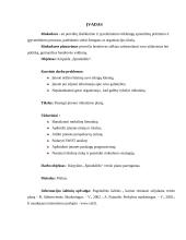 Verslo planas: kirpykla "Spindulėlis" 3 puslapis