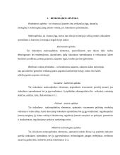 Verslo planas: kirpykla "Spindulėlis" 4 puslapis