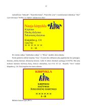 Verslo planas: kirpykla IĮ "Aiva" 12 puslapis