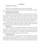 Verslo planas: kirpykla IĮ "Aiva" 13 puslapis