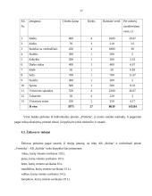 Verslo planas: kirpykla IĮ "Aiva" 17 puslapis