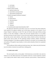 Verslo planas: kirpykla IĮ "Aiva" 7 puslapis