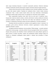 Verslo planas: kirpykla IĮ "Azalija" 17 puslapis