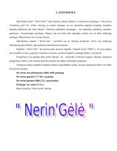 Verslo planas: kirpykla IĮ "Nerin‘Gėlė" 2 puslapis