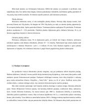 Verslo planas: kirpykla IĮ "Nerin‘Gėlė" 12 puslapis