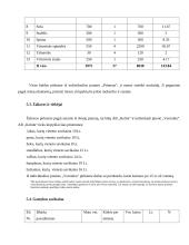 Verslo planas: kirpykla IĮ "Nerin‘Gėlė" 14 puslapis