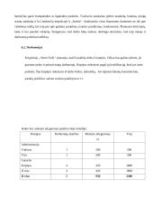 Verslo planas: kirpykla IĮ "Nerin‘Gėlė" 17 puslapis