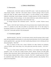 Verslo planas: kirpykla IĮ "Nerin‘Gėlė" 3 puslapis