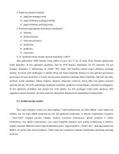 Verslo planas: kirpykla IĮ "Nerin‘Gėlė" 6 puslapis