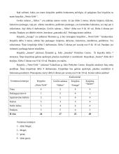 Verslo planas: kirpykla IĮ "Nerin‘Gėlė" 7 puslapis