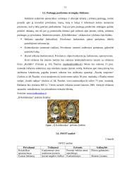 Verslo planas: koldūnų gamyba IĮ "Koldūniukas" 11 puslapis