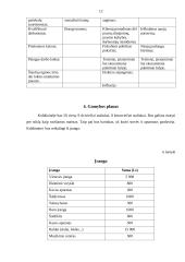 Verslo planas: koldūnų gamyba IĮ "Koldūniukas" 12 puslapis