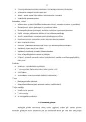 Verslo planas: koldūnų gamyba IĮ "Koldūniukas" 17 puslapis